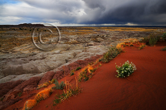 Encroaching Storm