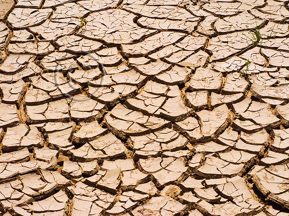 Parched